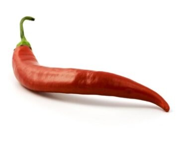 red hot chilli 1009136540397cc8