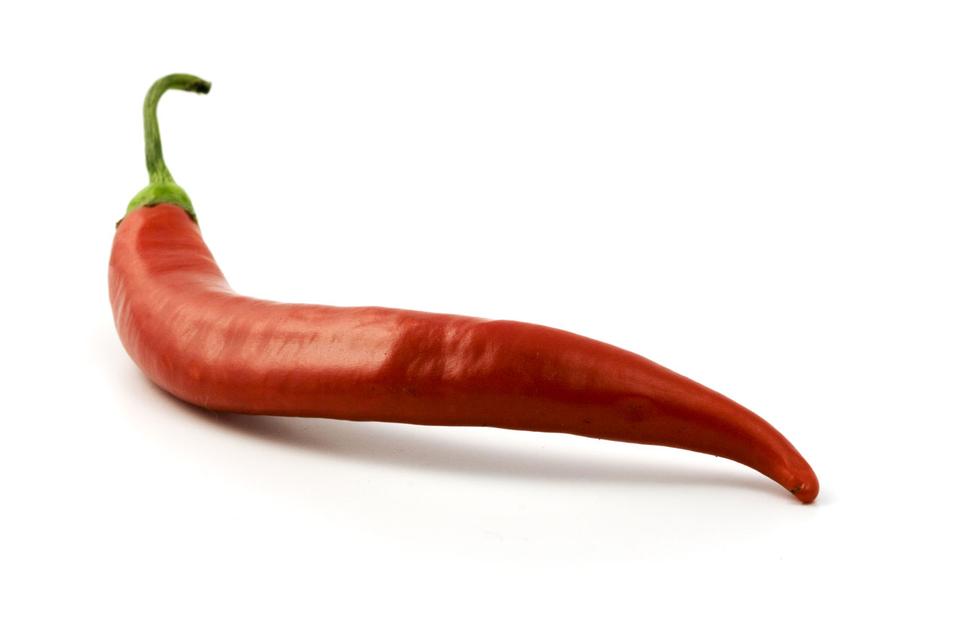 red hot chilli 1009136540397cc8